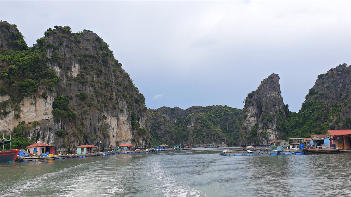 Tranquil Scenery of the area