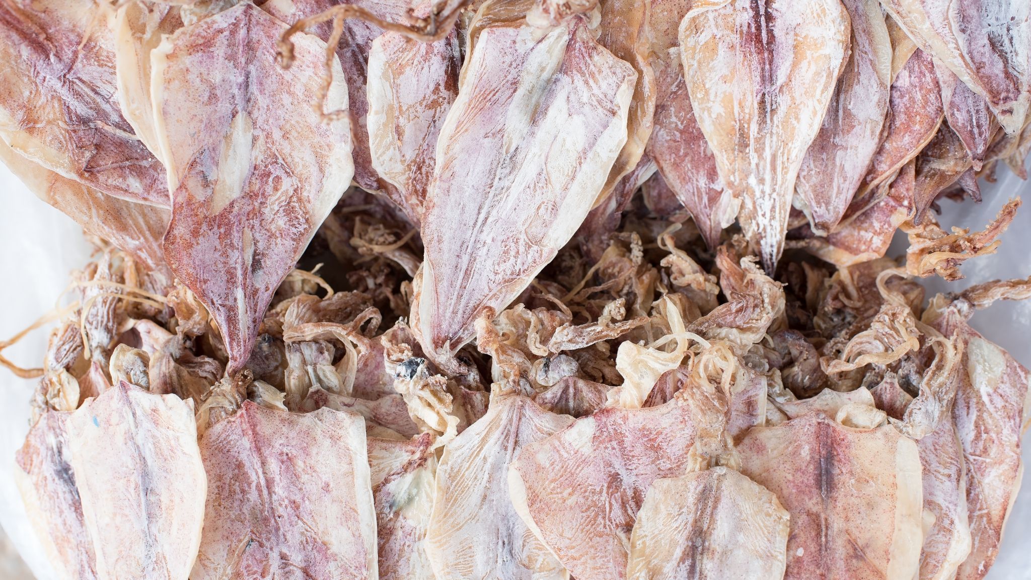 Dried Squid