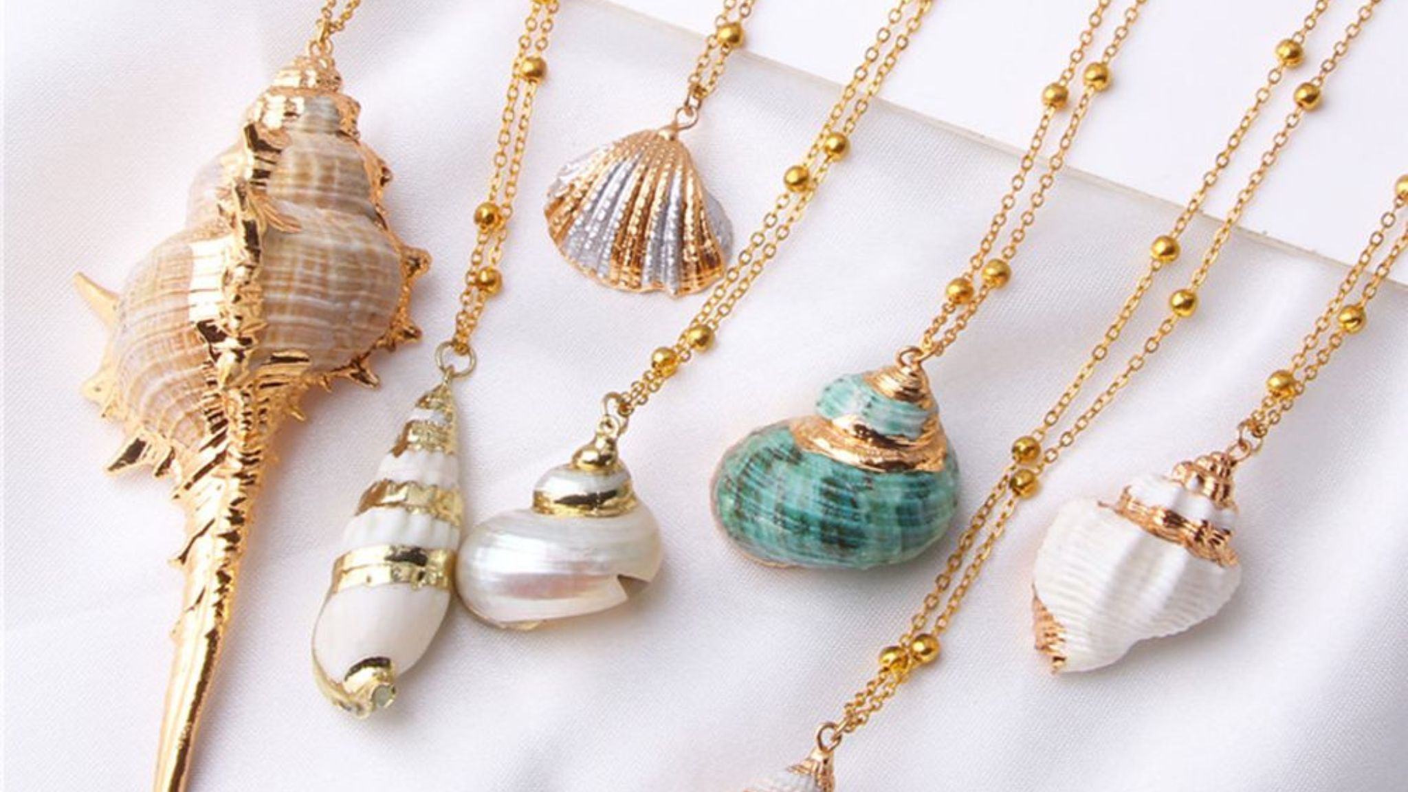 Seashell Accessories
