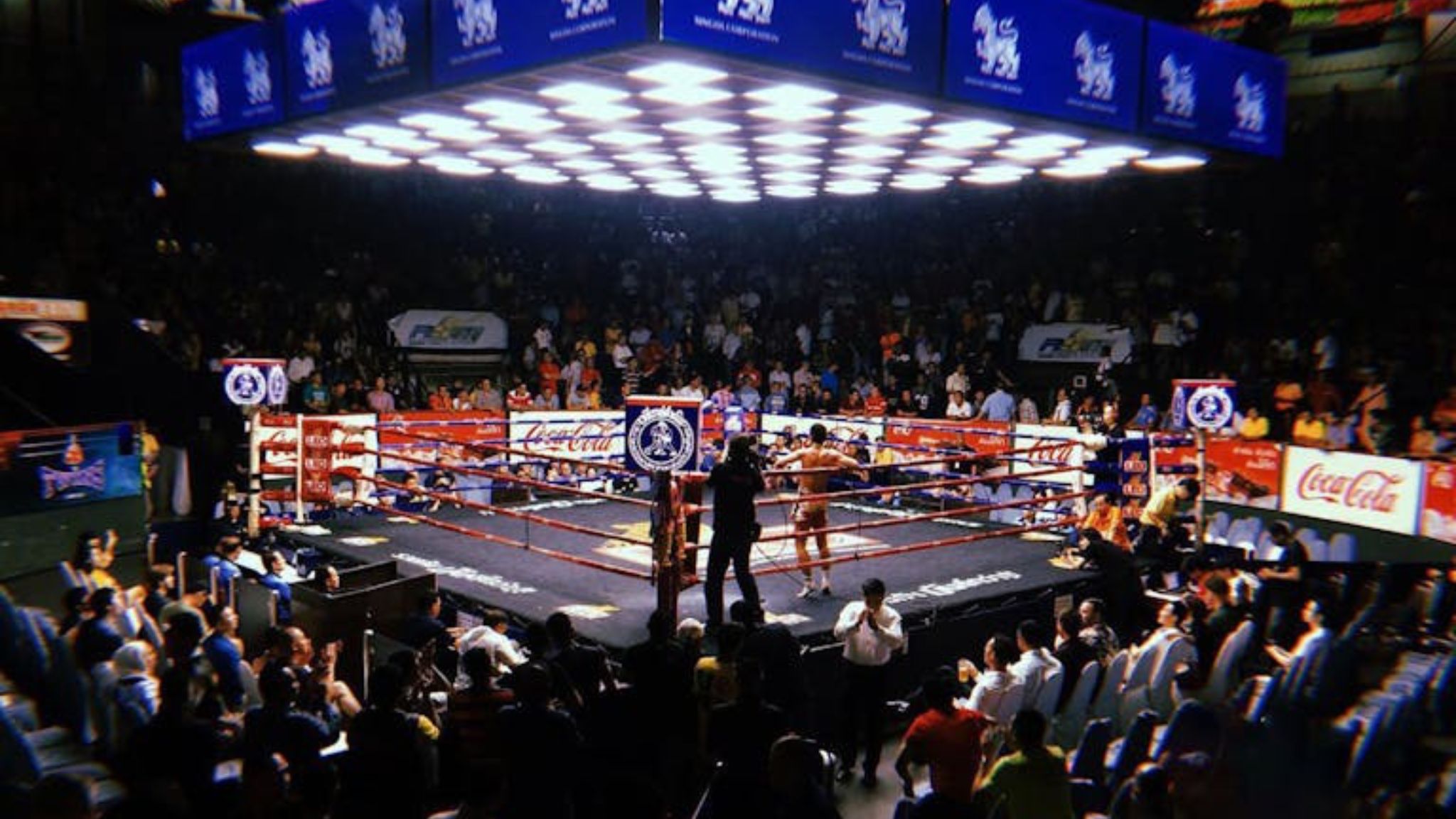 Watch Muay Thai Competitions Right Before Your Eyes