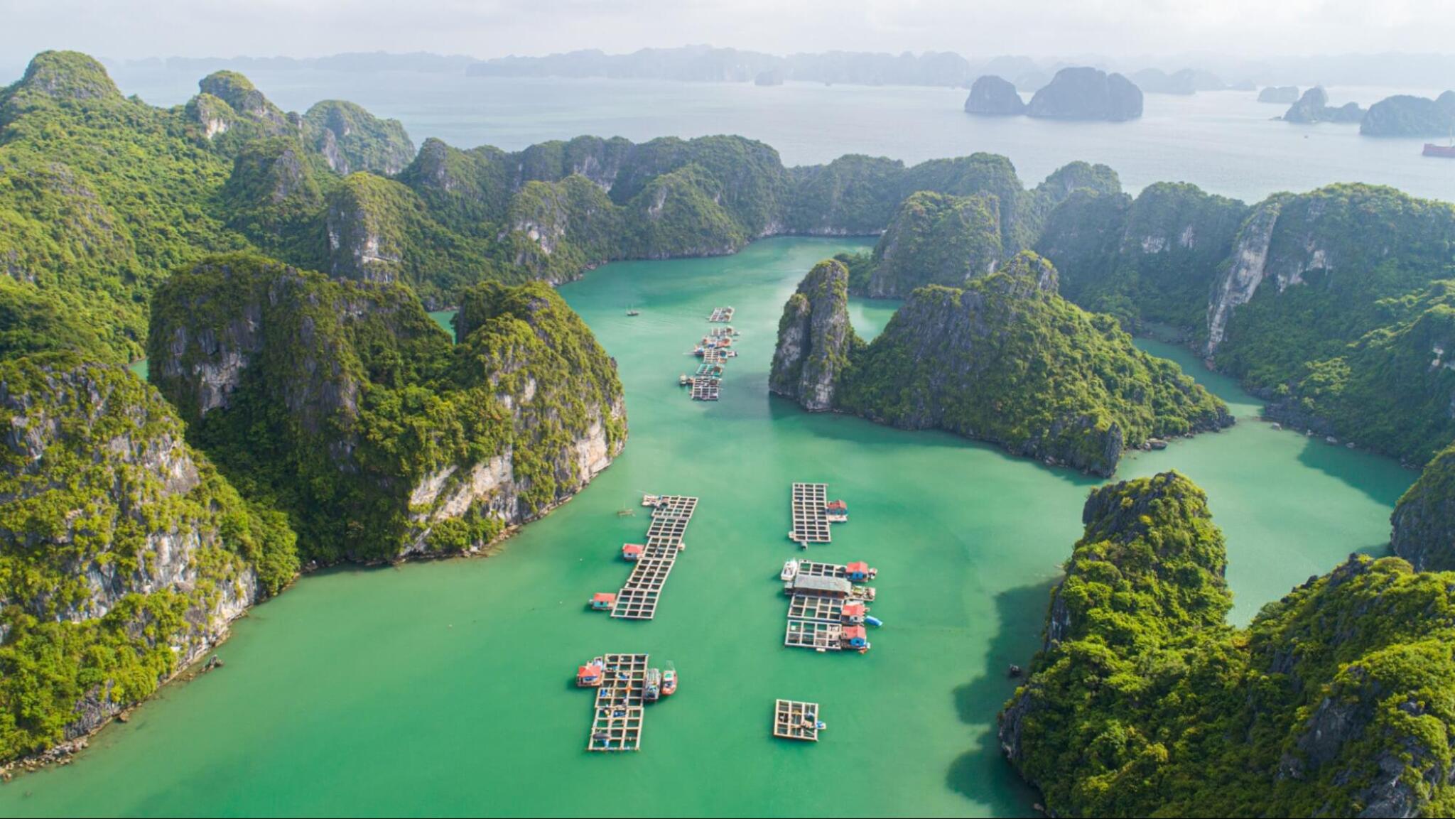 Halong Bay is a must-visit spot for any foreign tourists to Vietnam