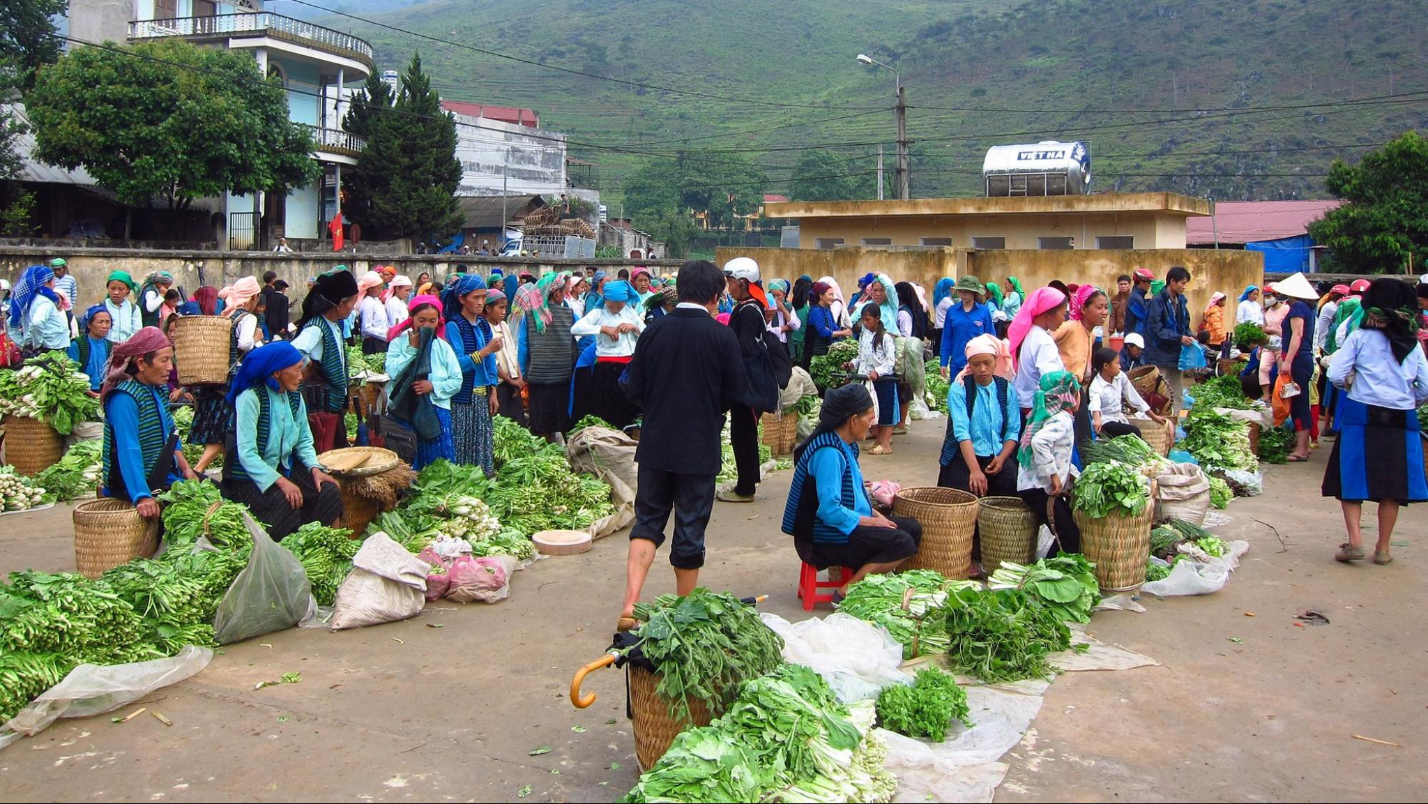 Learn about the lifestyles of different communities in Meo Vac