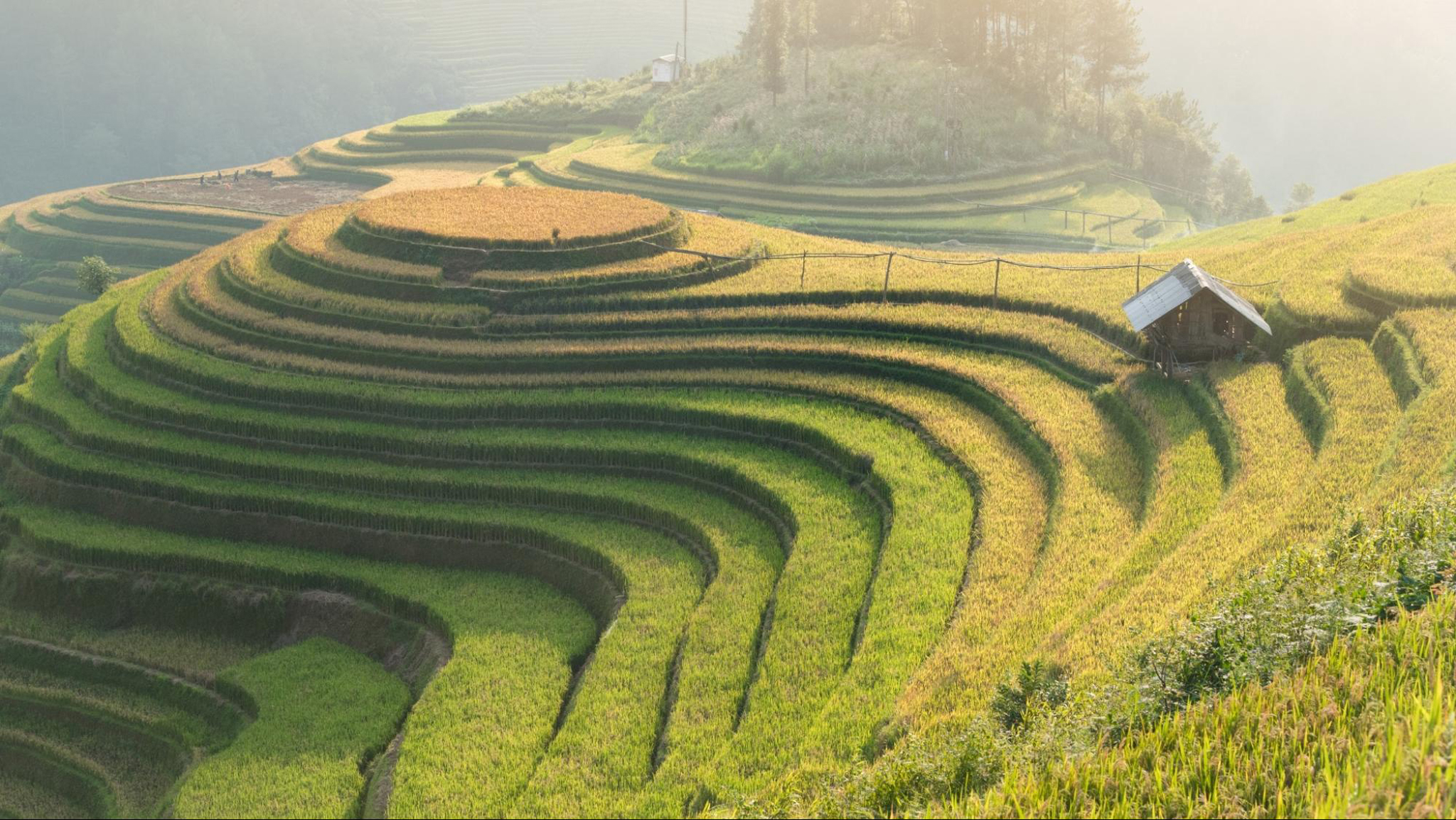 The picturesque terraced rice fields in Mu Cang Chai