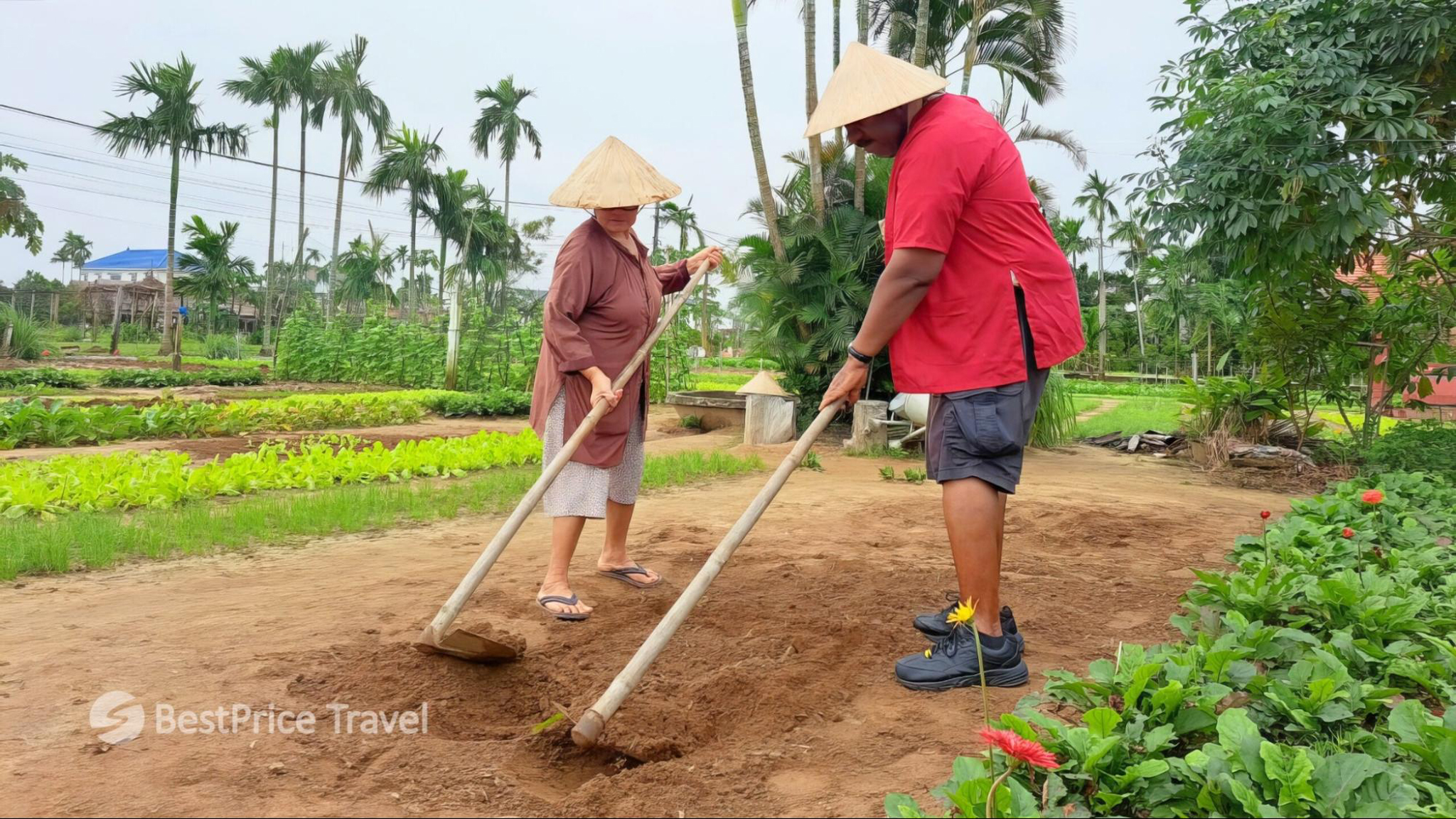 Gain valuable knowledge about cultivation at Tra Que Village