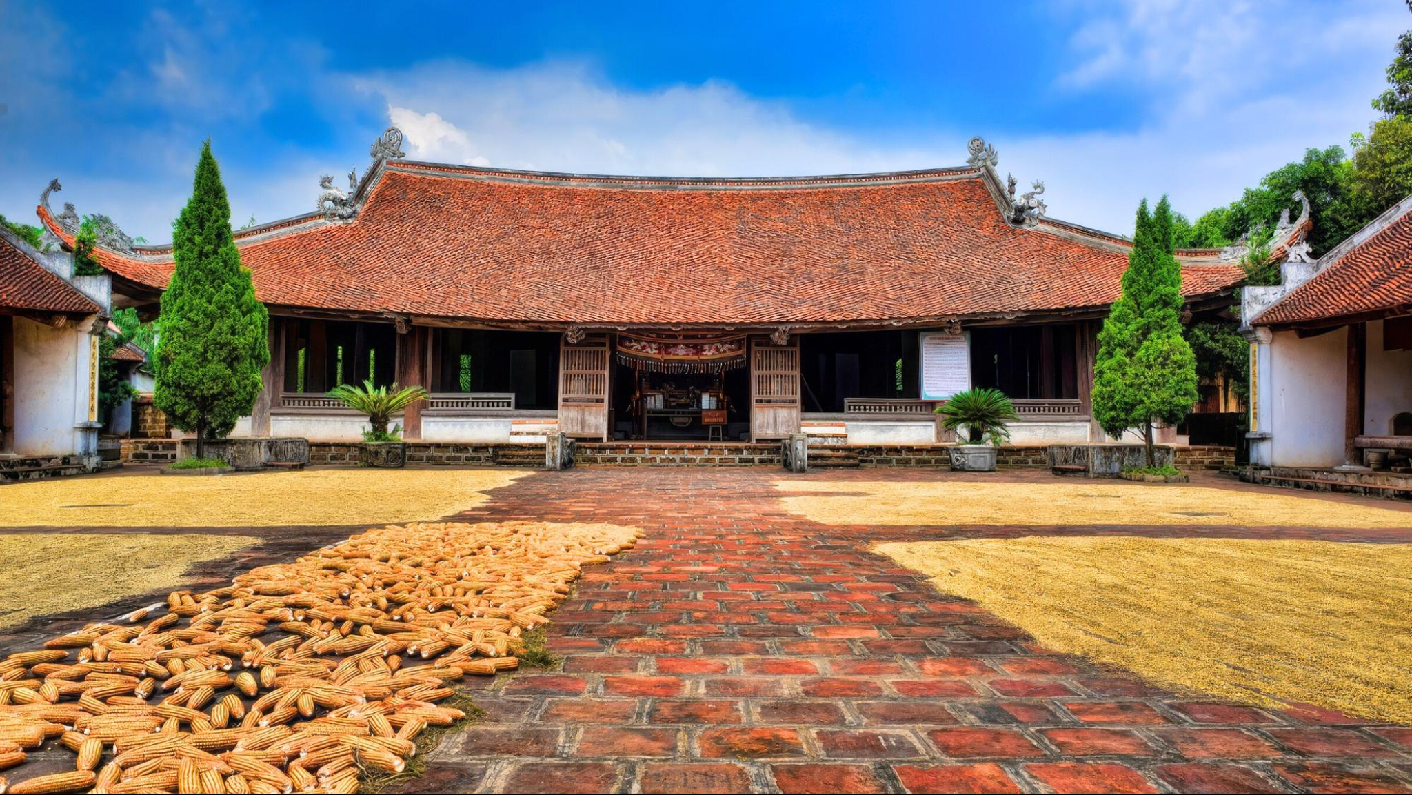 Admire the hundred-year-old houses in Duong Lam Ancient Village