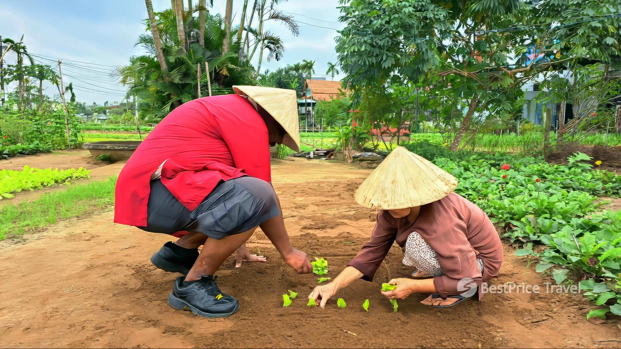 Experience hands-on farming activities alongside locals
