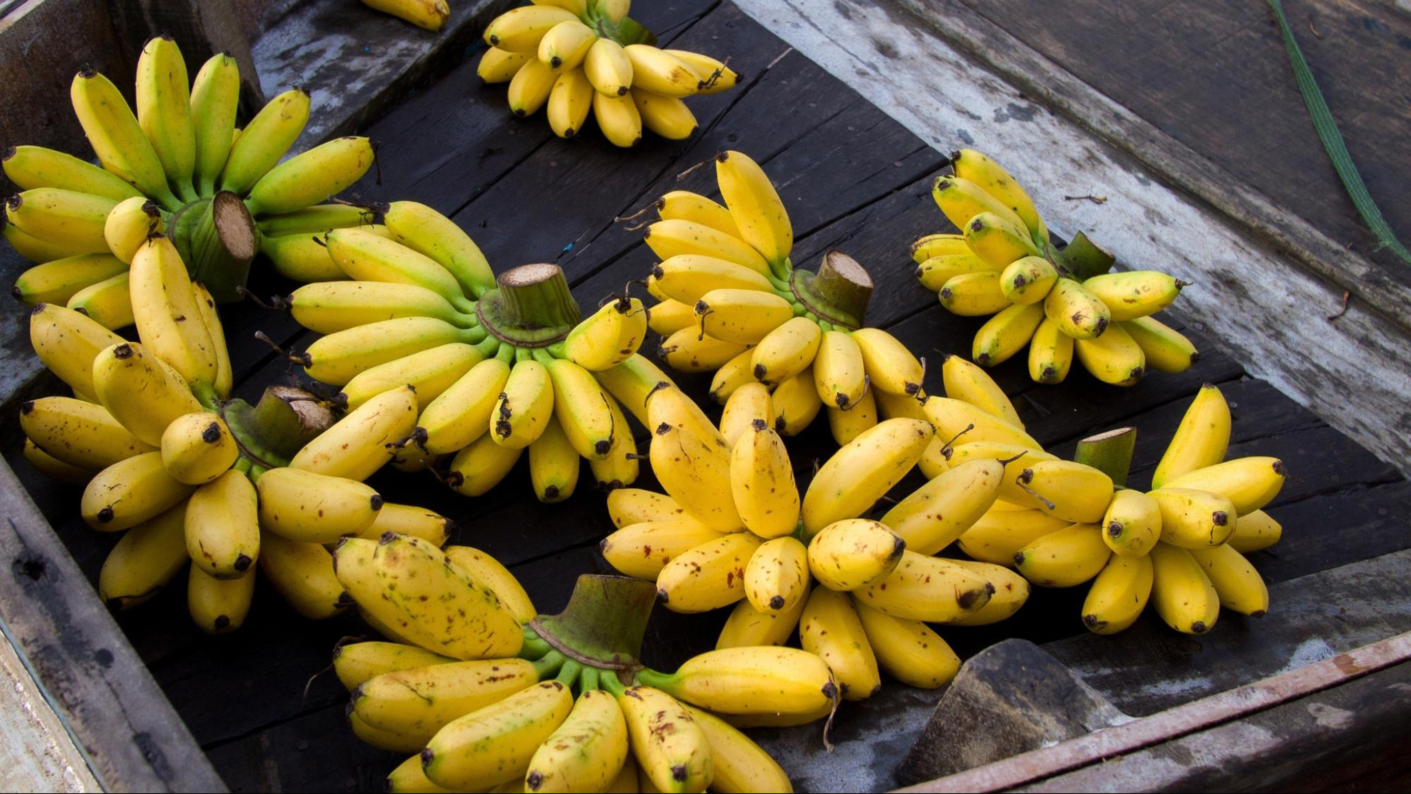 Try fresh bananas and other fruits at the Mekong Delta