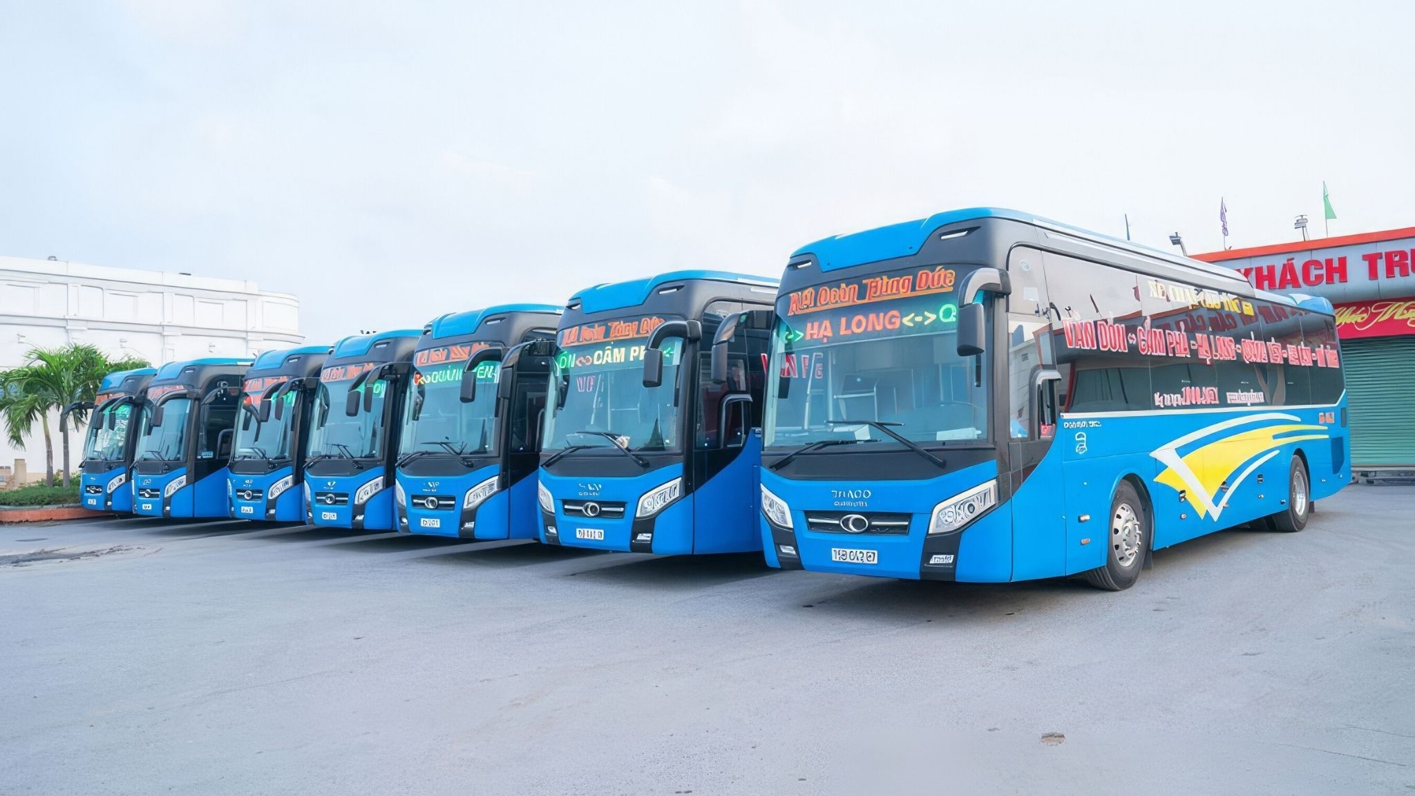 Public buses are ideal for budget travelers seeking a comfortable ride