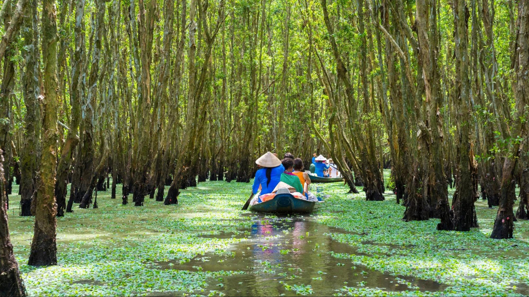 Glide Leisurely Through Mekong Delta Waterways On A Sampan