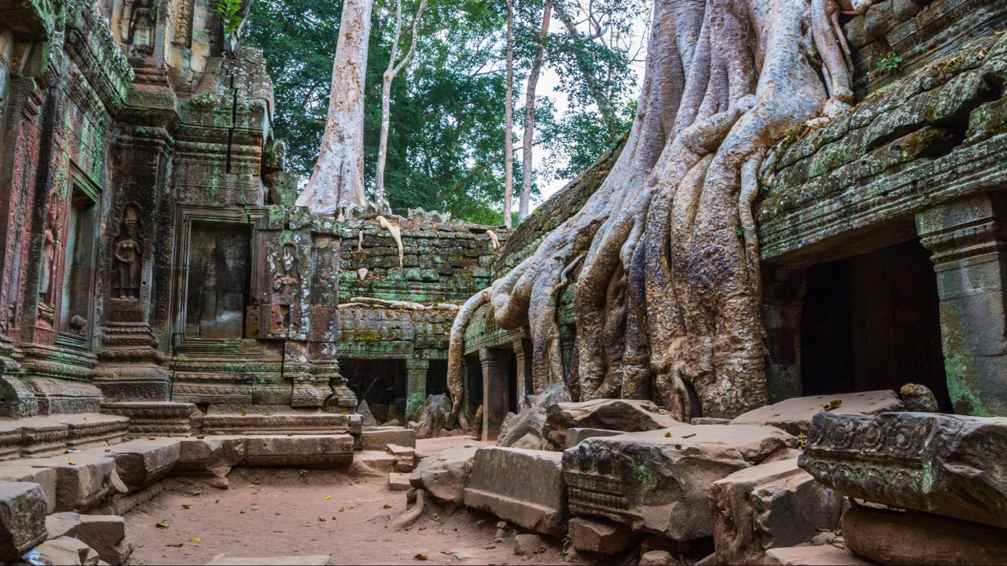 Mystical Ta Prohm In Angkor Archaeological Park