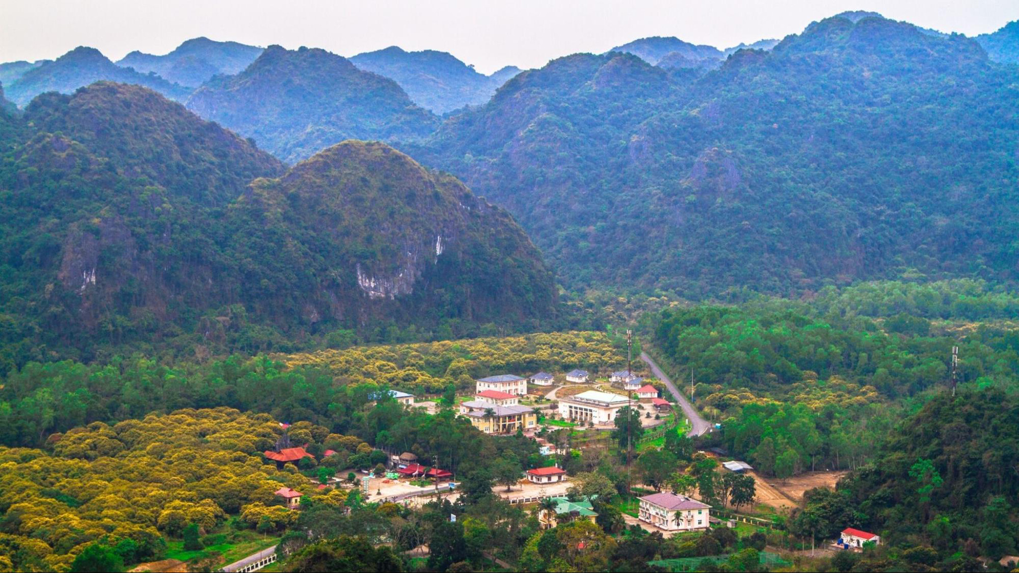 Cat Ba National Park attracts tourists with its diverse wildlife and scenic landscapes