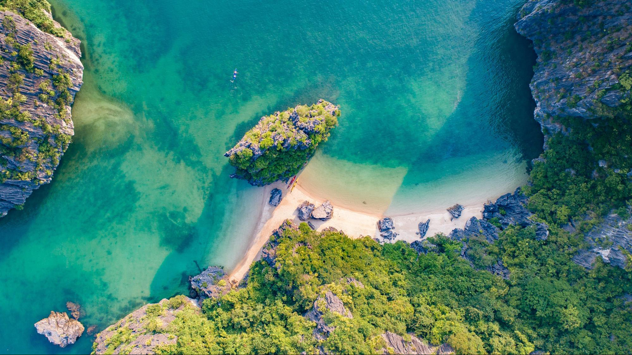 Discover the lush ecosystem in Halong Bay