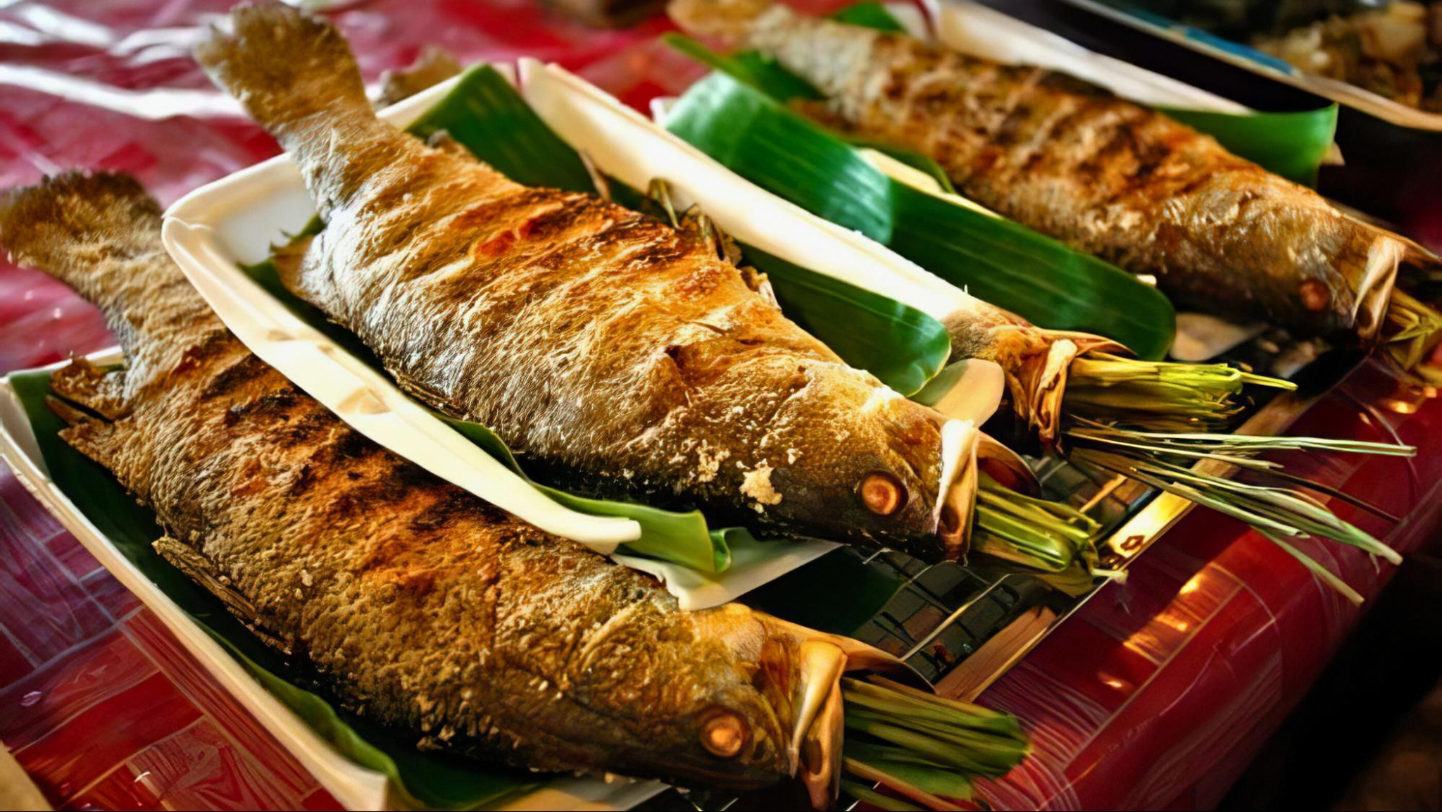 Enjoy a flavorful dinner of authentic traditional dishes