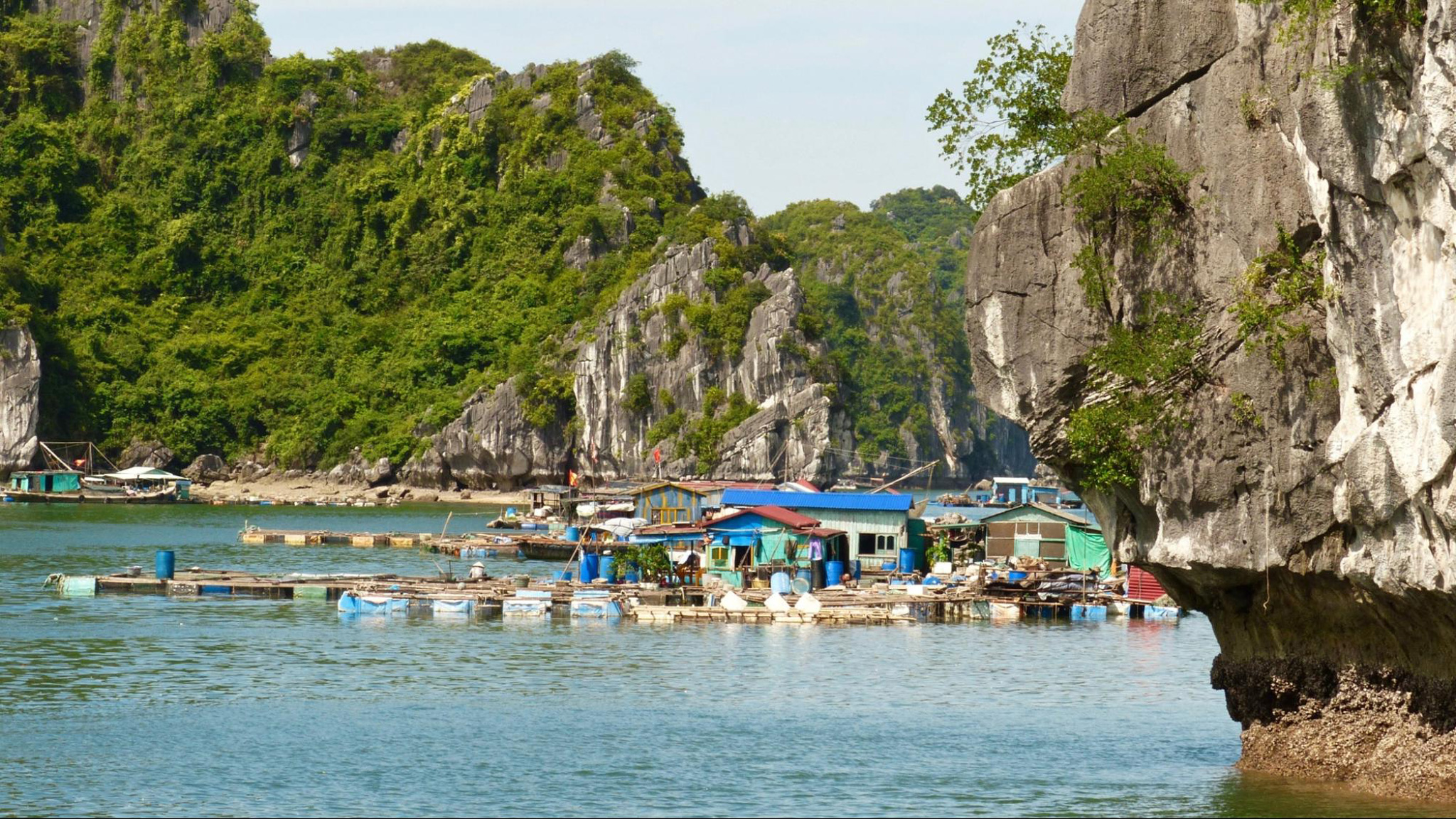 Cua Van Fishing Village captivates visitors with its floating houses and serene bay
