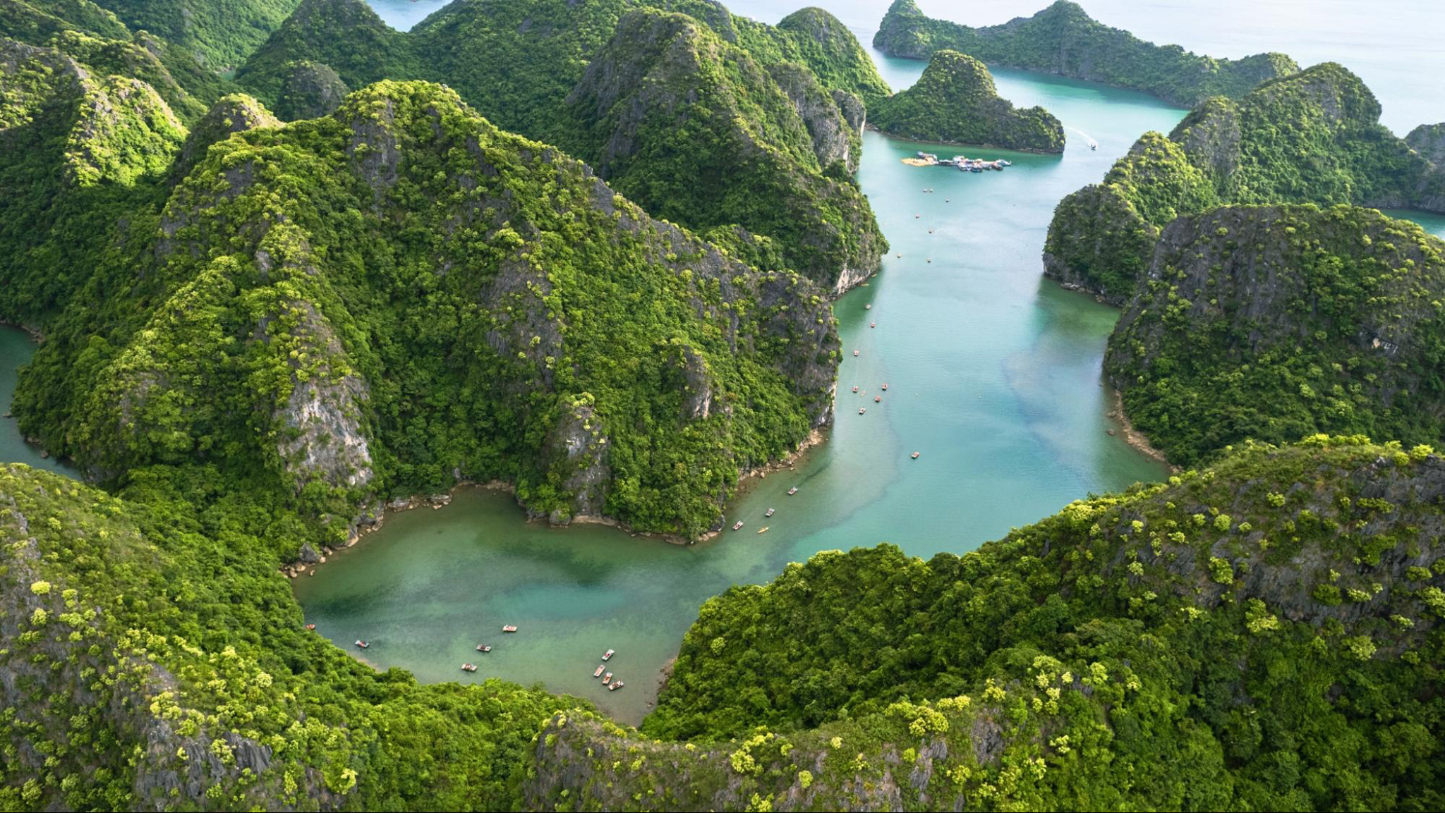 Cat Ba National Park showcases stunning views from its mountain peaks