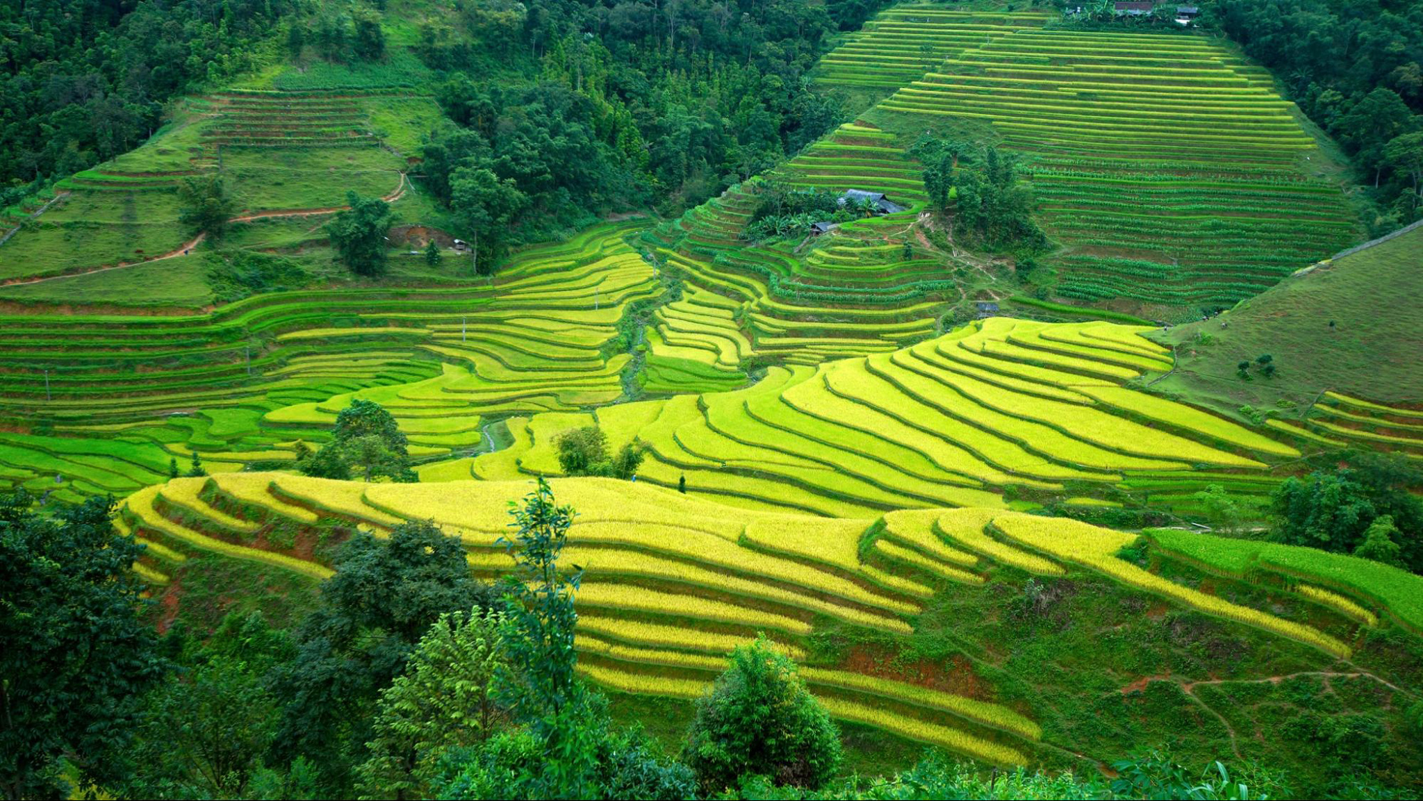 October to April are ideal months for admiring rice terraces in the North