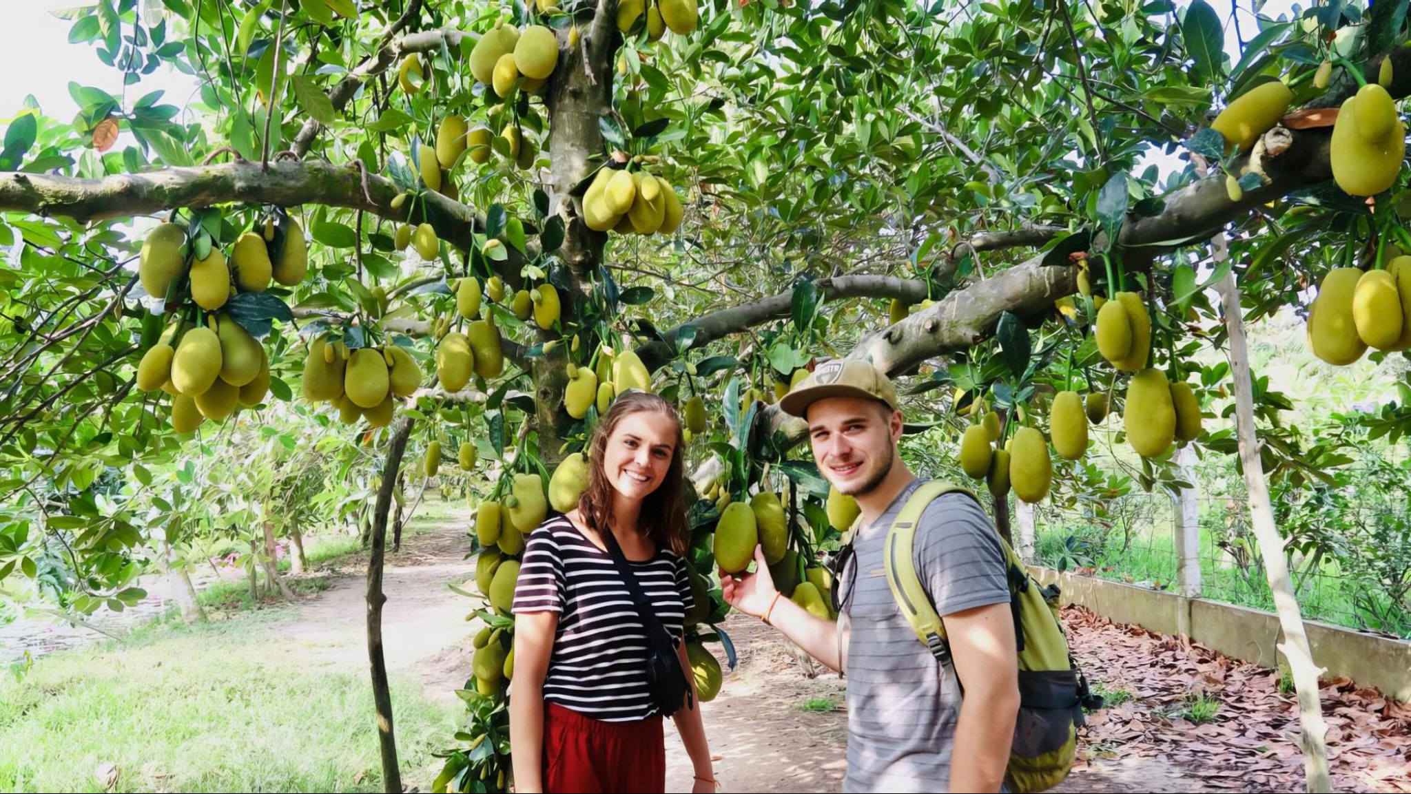 Venture through the fruit orchards and enjoy exotic local fruits