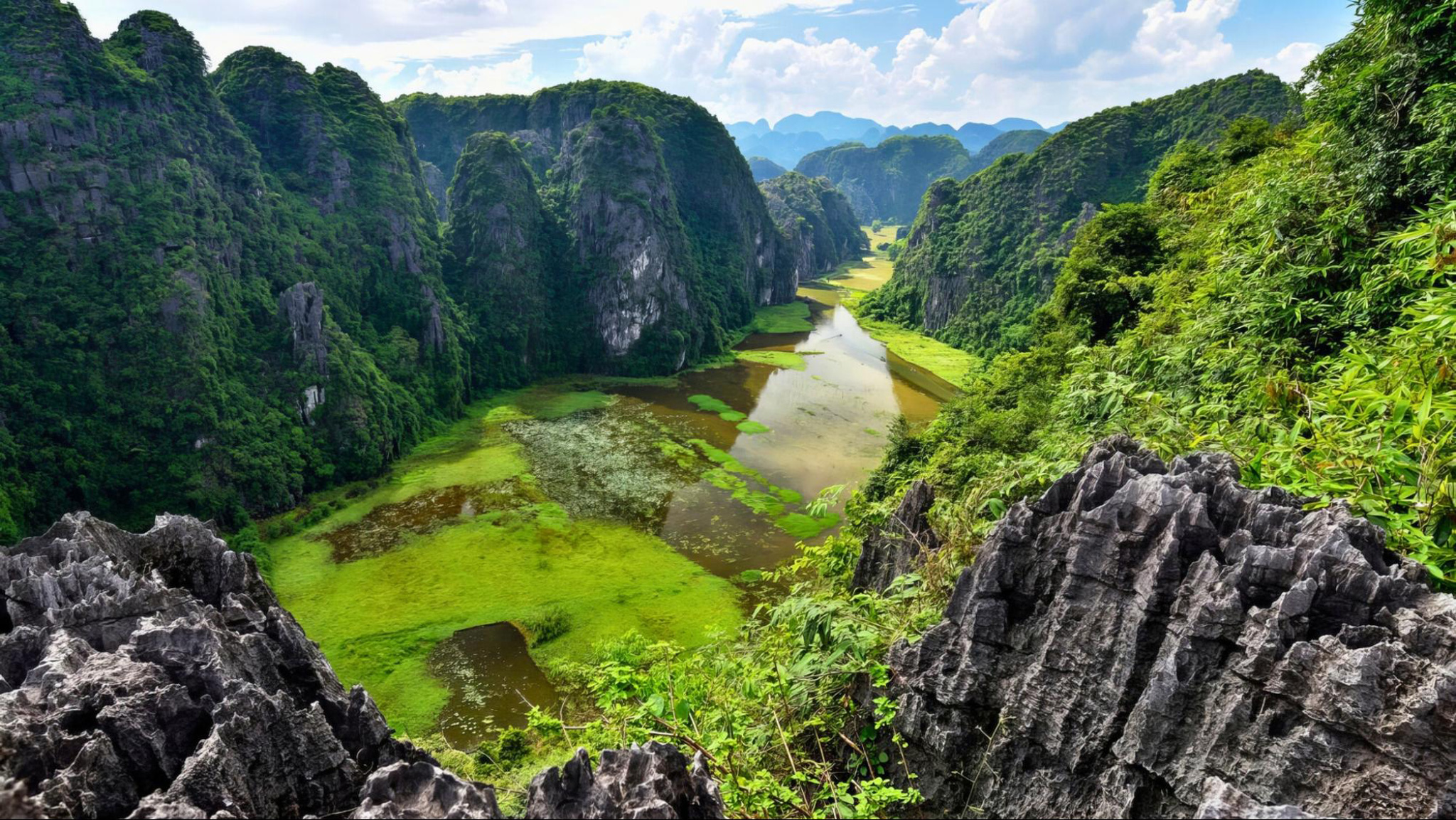 Tam Coc captivates visitors with its stunning limestone karsts and winding river