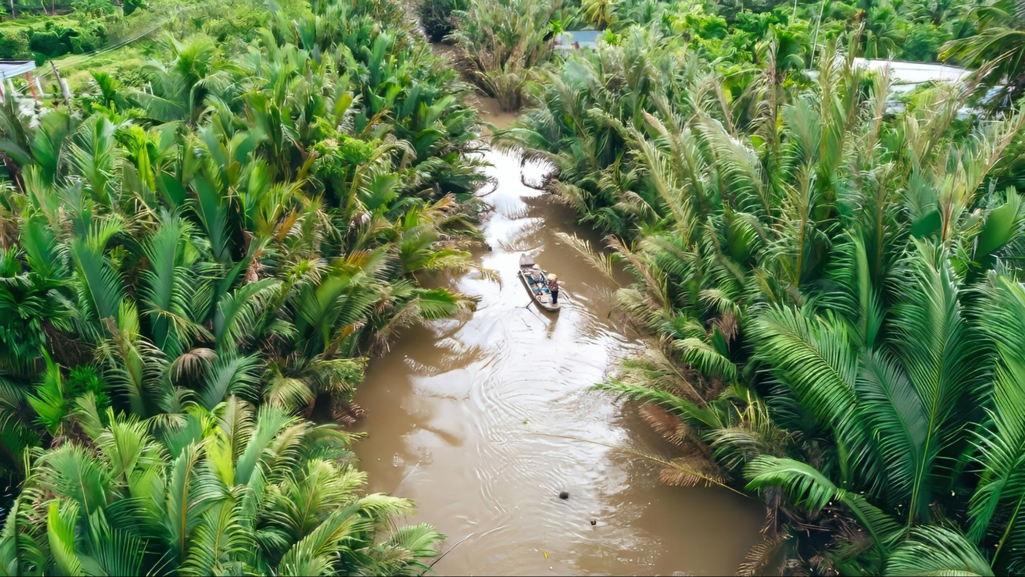 Enjoy the scenic mangrove forest on a boat tour in the Mekong Delta