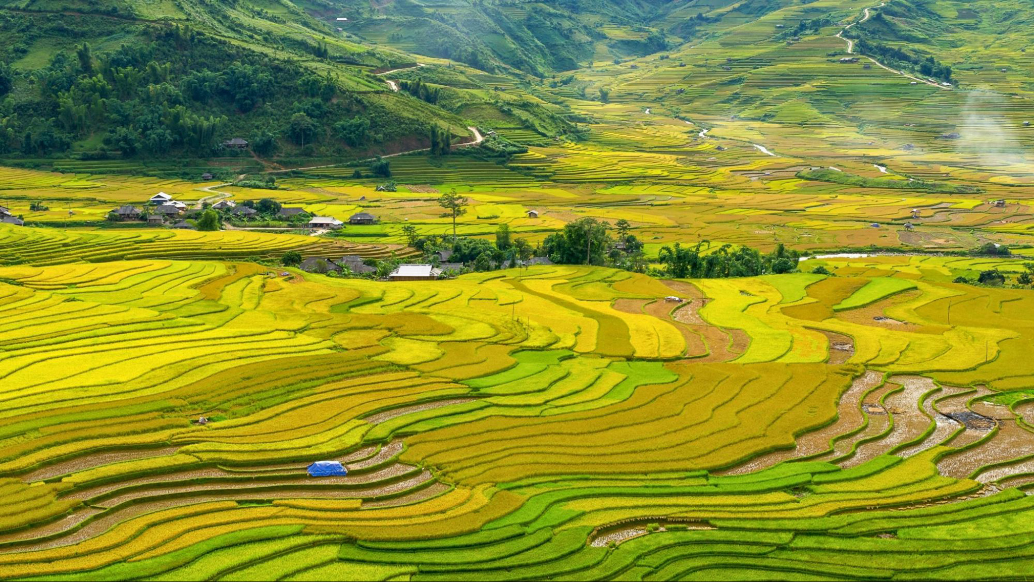 Witness the stunning rice terraced fields in Mu Cang Chai