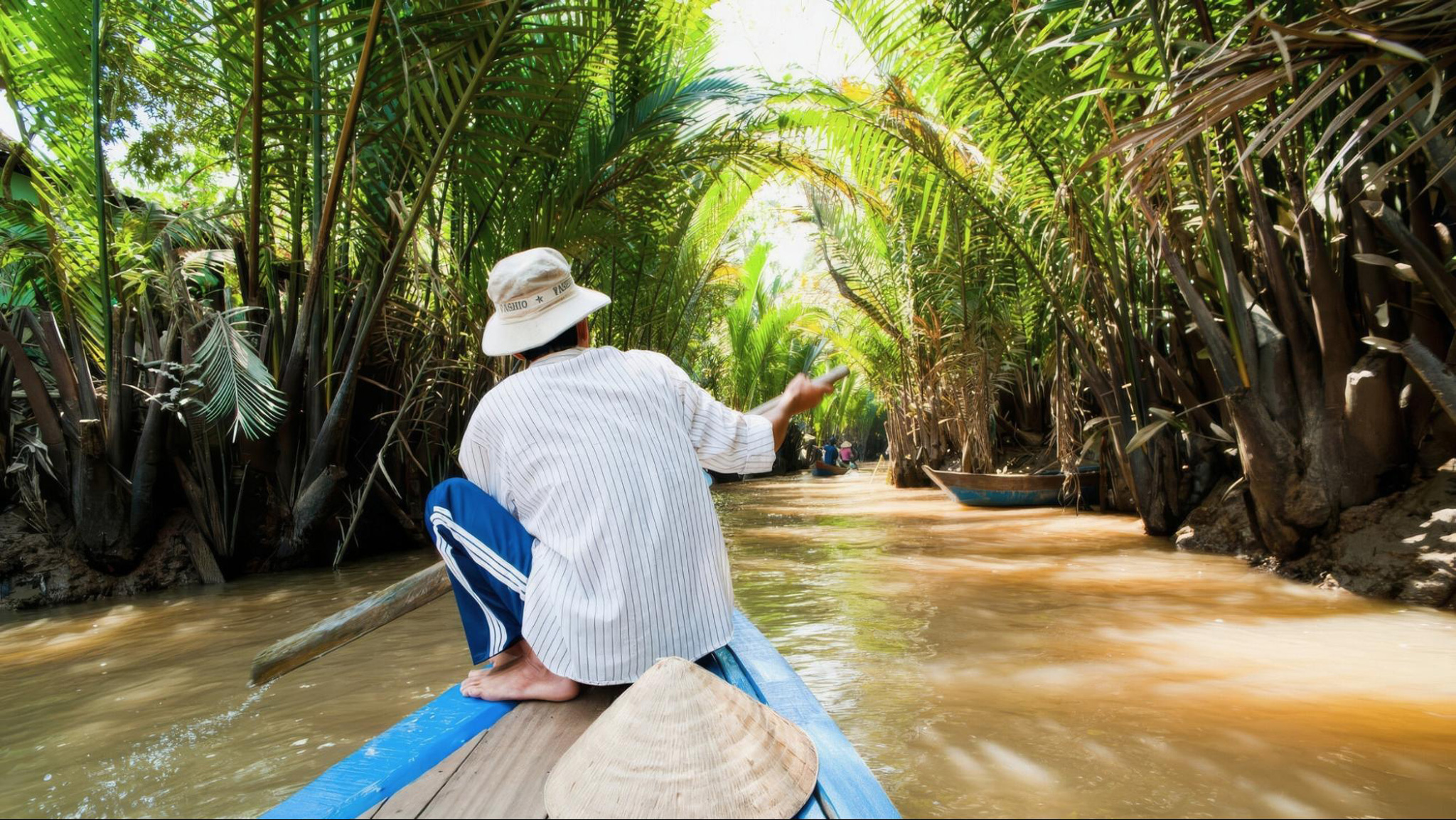 Marvel at the lush mangrove forests of the Mekong Delta