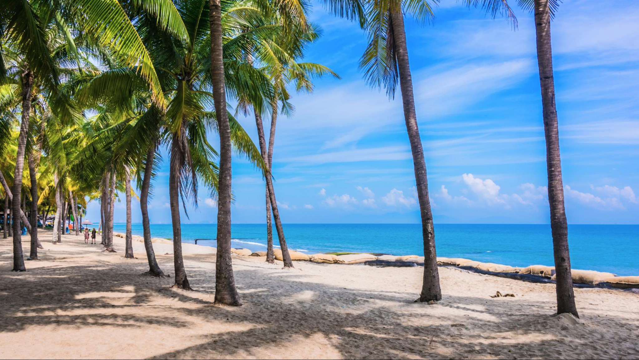 With its serene and pristine setting, Cua Dai Beach is the perfect getaway for beach lovers