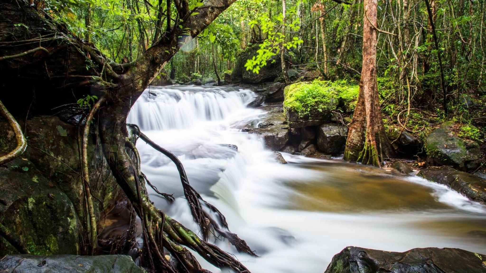 Suoi Tranh Waterfall In Phu Quoc Is At Its Most Majestic Of The Year