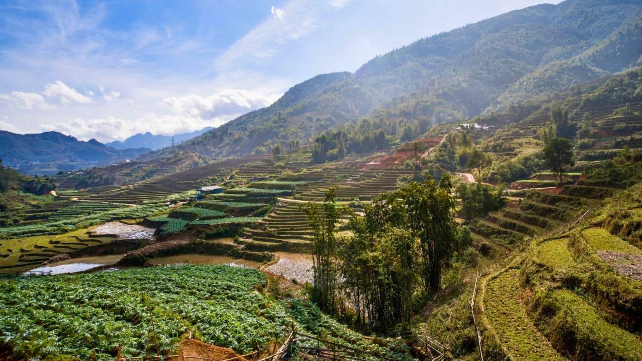 Rice terraces in Sapa during December