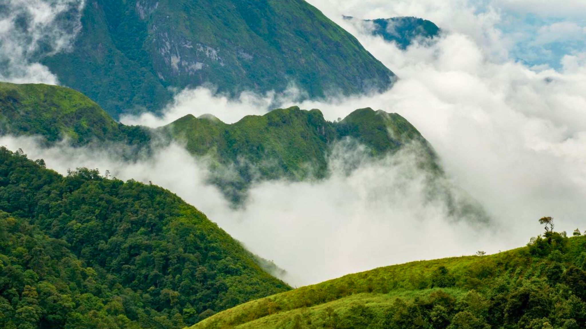 cloud hunting in the crisp December weather offers a truly unique and refreshing experience