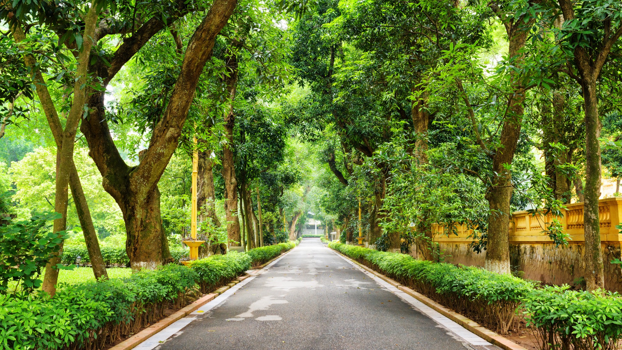 The Botanical Garden is a peaceful city oasis with diverse plant life