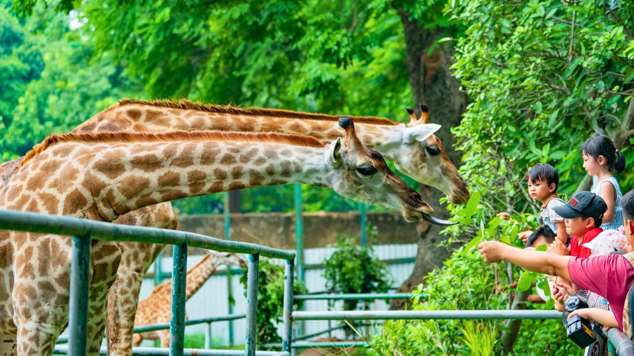 Botanical Garden HCM