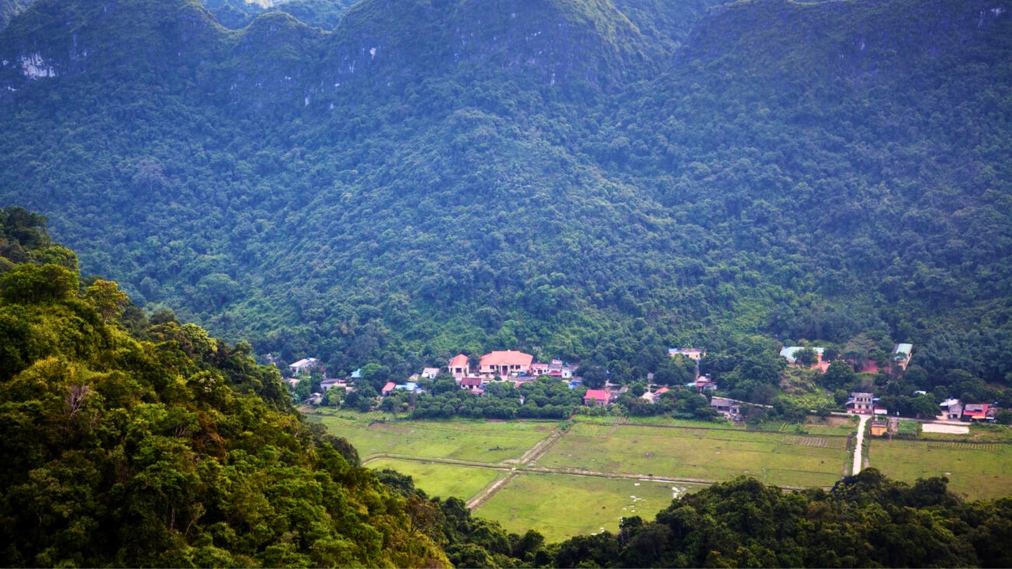 Viet Hai Is A Quiet Village Surrounded By Jungle And Limestone Peaks On Cat Ba Island