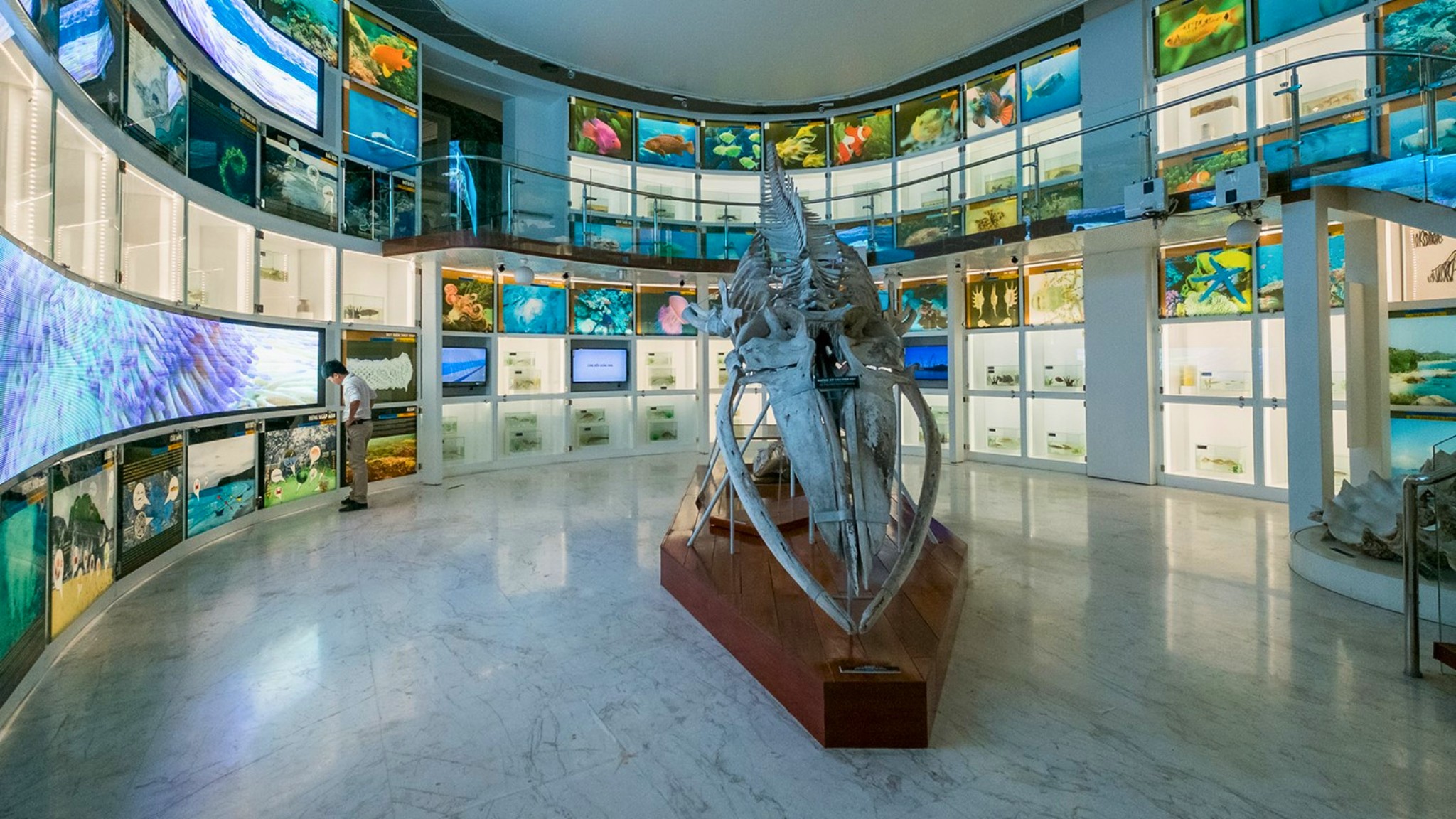 Quang Ninh Museum Is A Must See For Anyone Interested In The Province&rsquo;s Rich History And Culture