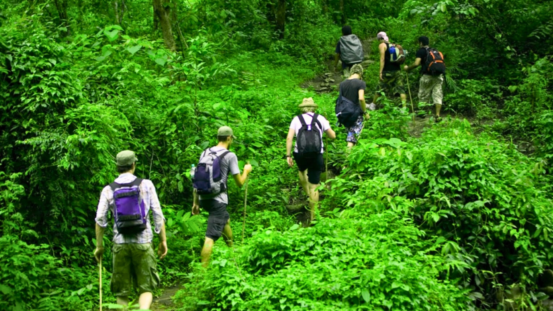 Trekking in Phu Quoc National Park