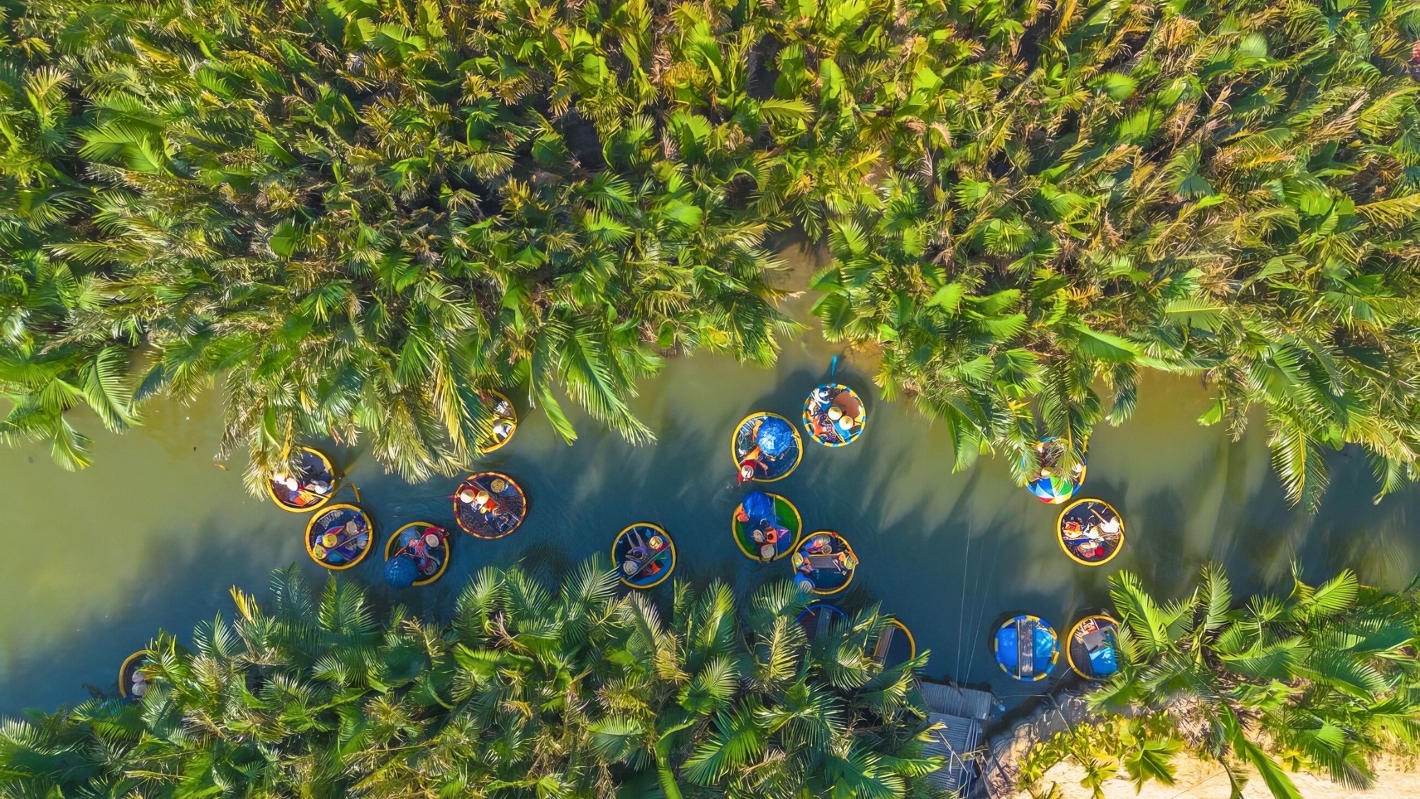 Ride Basket Boat Through Coconut Forests At Cam Thanh Village