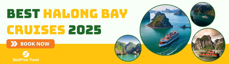 Best Halong Bay Cruises 2025
