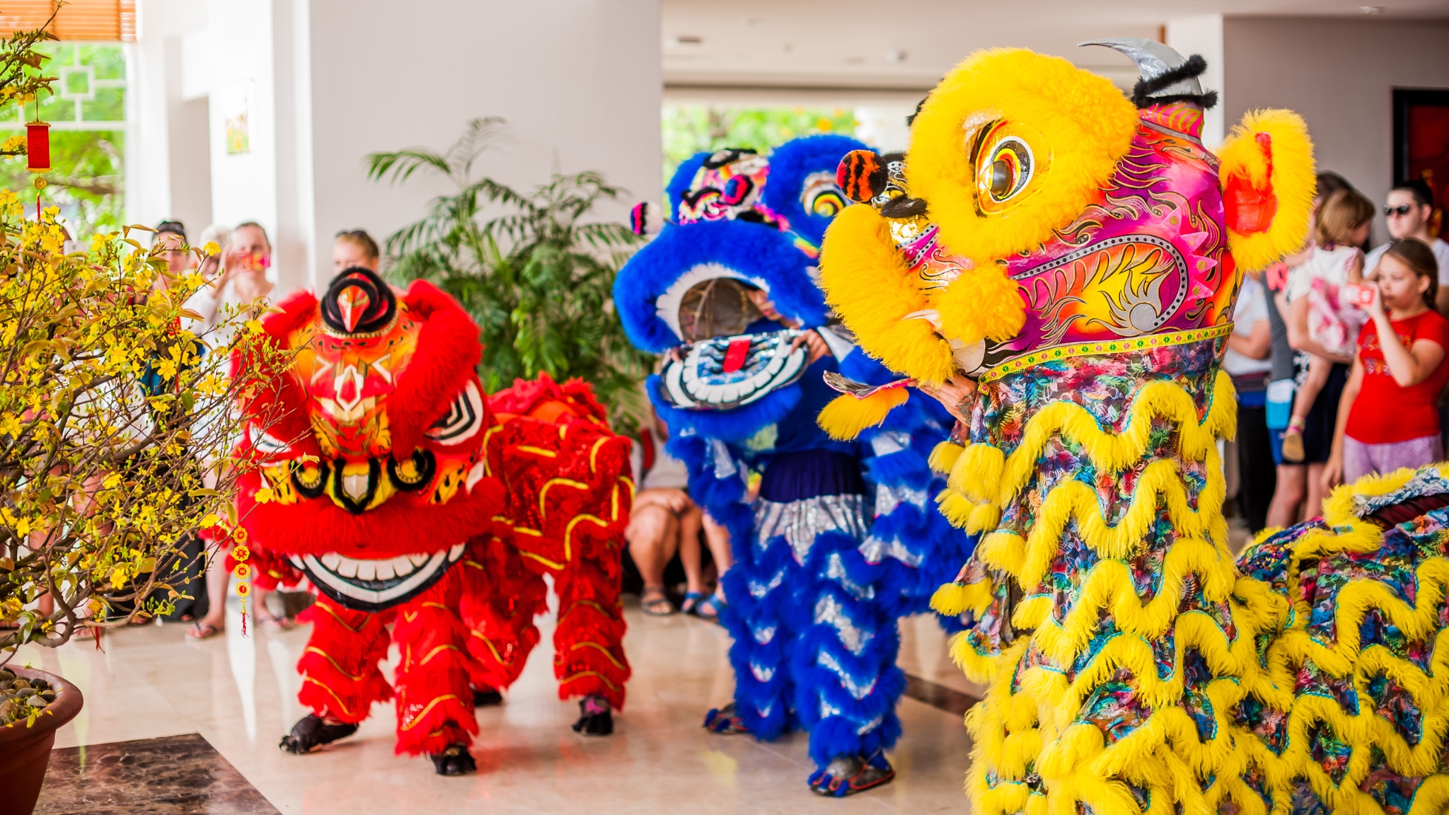 Watch Lion Dance At Nha Trang's Vietnamese Lunar New Year Festival