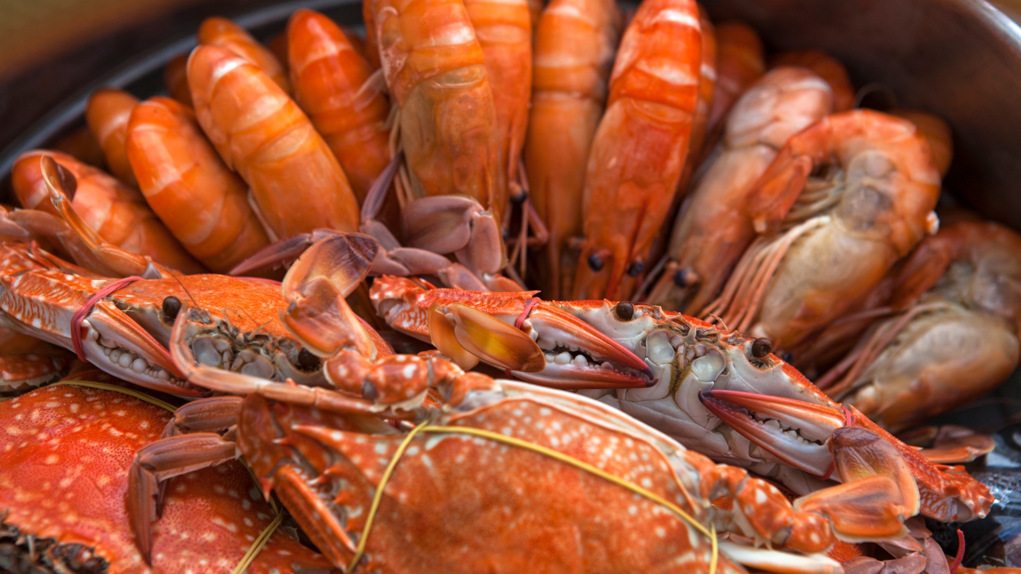 Savor Steamed Shrimps And Crabs Perfect For Cool Climate In March