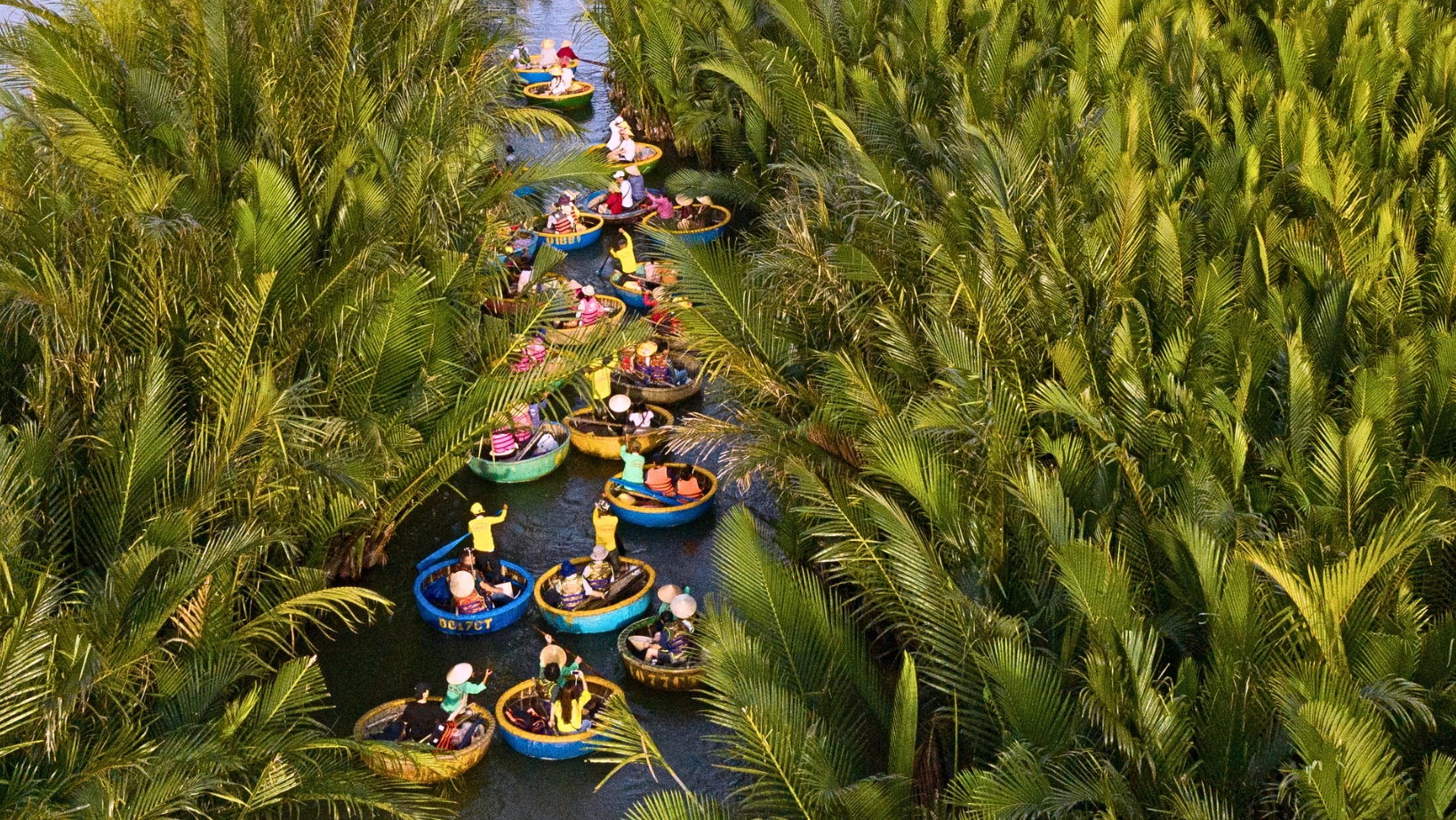 Ride Basket Boat Through Coconut Forests At Cam Thanh Village