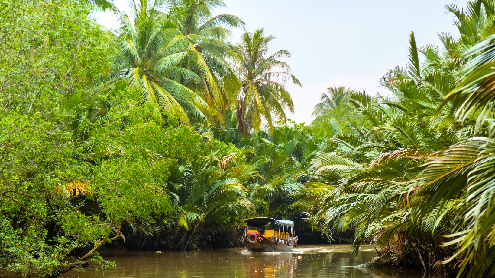 Sampan Ride Through The Tranquil Mangrove Forests