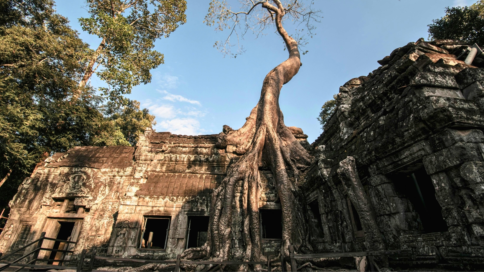 The Mysterious Ta Prohm Temple With Its Ancient Roots Entwined In Jungle Trees