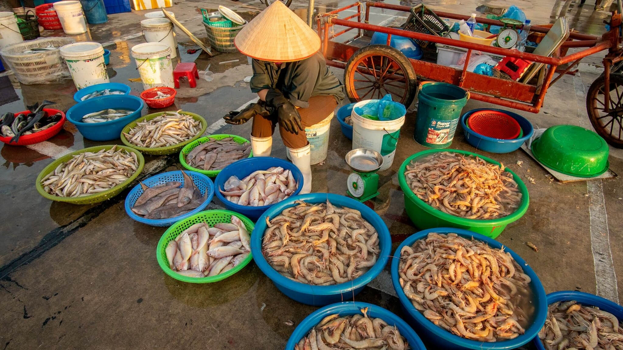 Cai Rong Market in Van Don with local vendors selling fresh seafood and bustling market activities