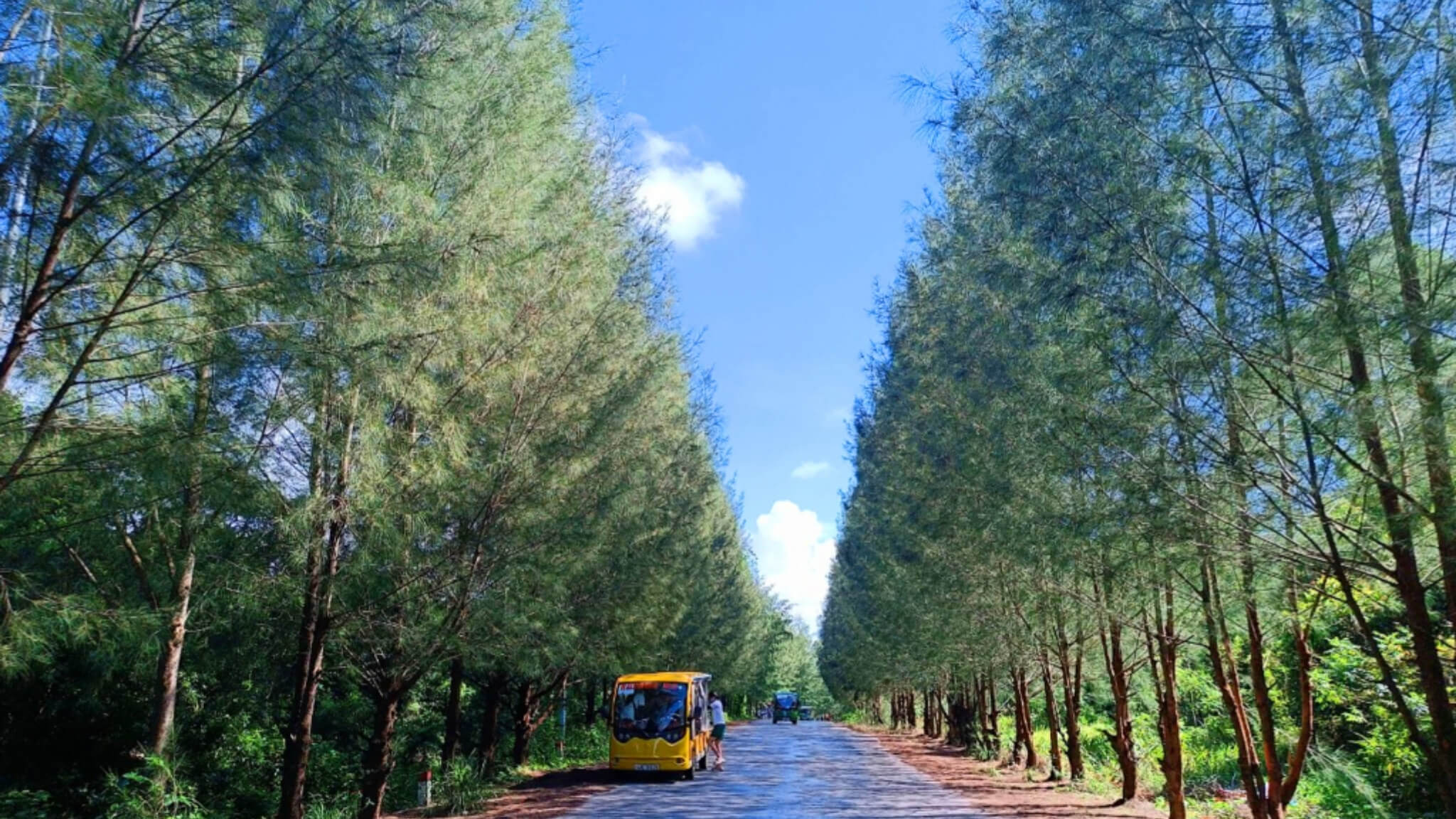Getting around Van Don by local transport