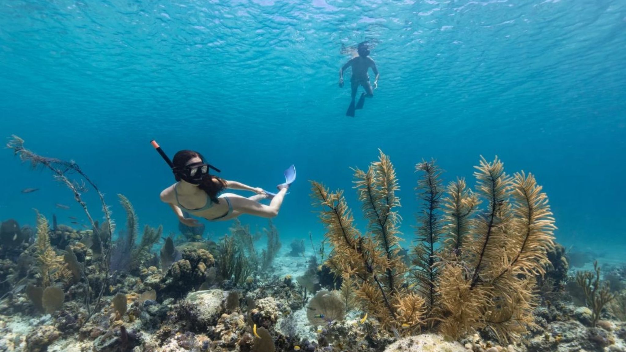 Experience Diving & Snorkeling in Van Don