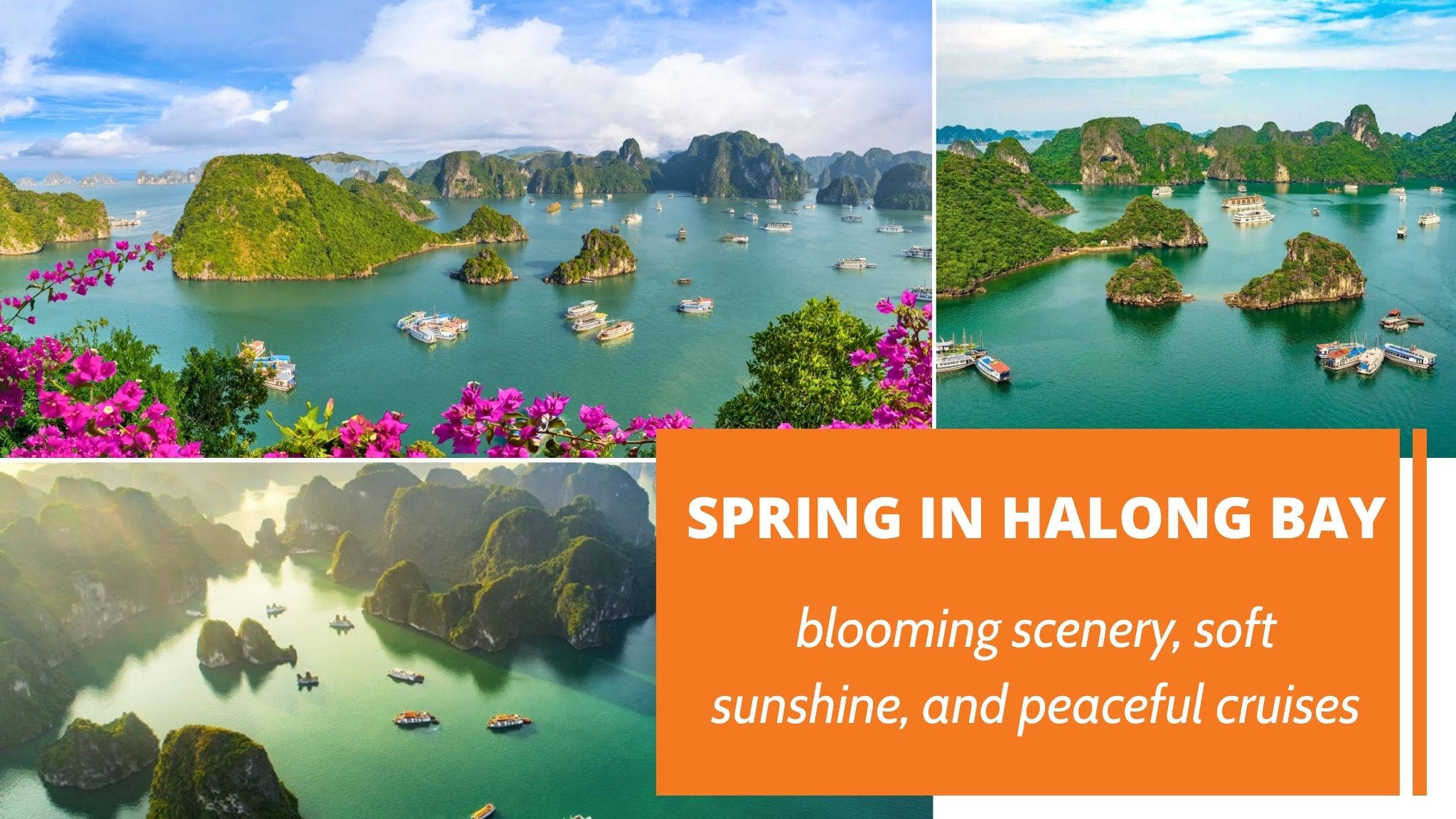 Spring in Halong Bay