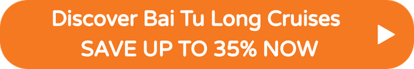 Bai Tu Long Cruises