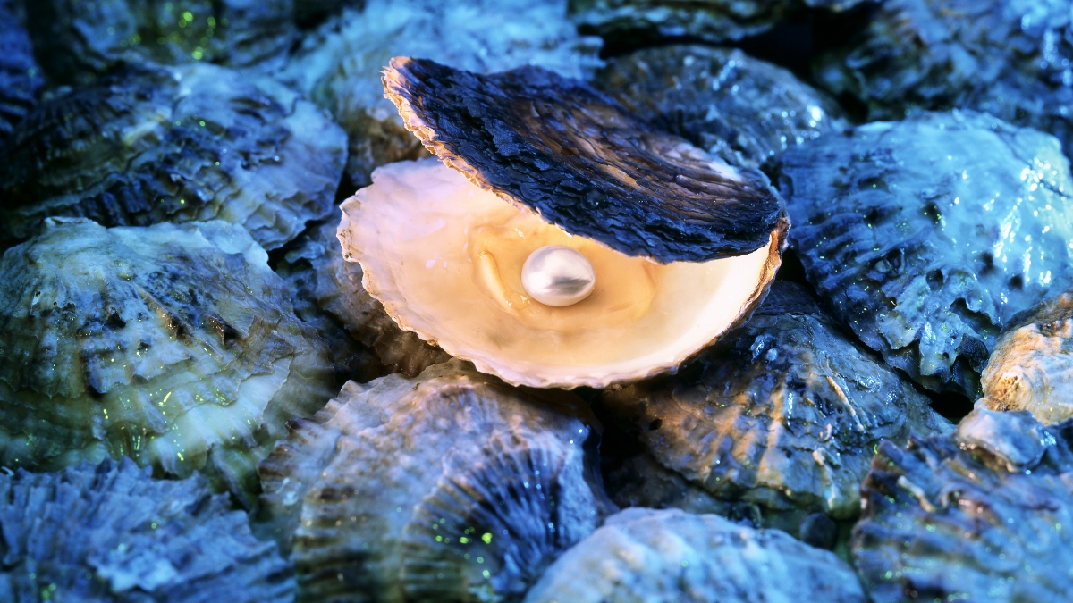 Vietnamese Pearls Are Known For Its High Quality