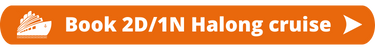 Book 2D1N Cruise