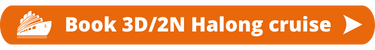 Book 3D2N cruise