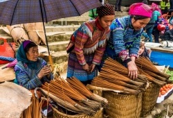 Bac Ha Market